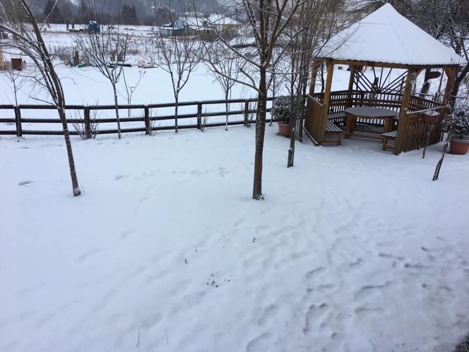 Загородные дома Country House Brijest Колашин-33