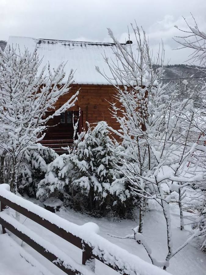 Загородные дома Country House Brijest Колашин-35