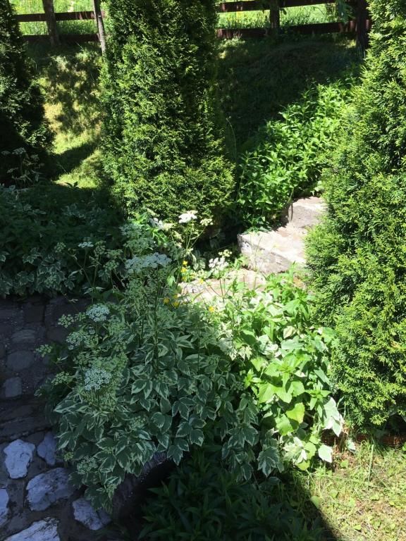 Загородные дома Country House Brijest Колашин