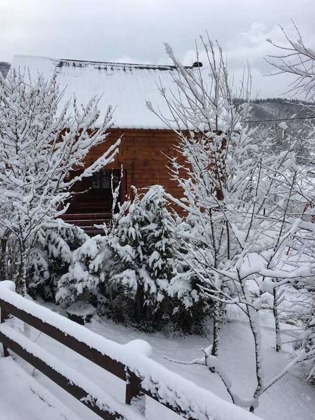 Загородные дома Country House Brijest Колашин-34